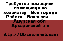 Требуется помощник, помощница по хозяйству - Все города Работа » Вакансии   . Амурская обл.,Архаринский р-н